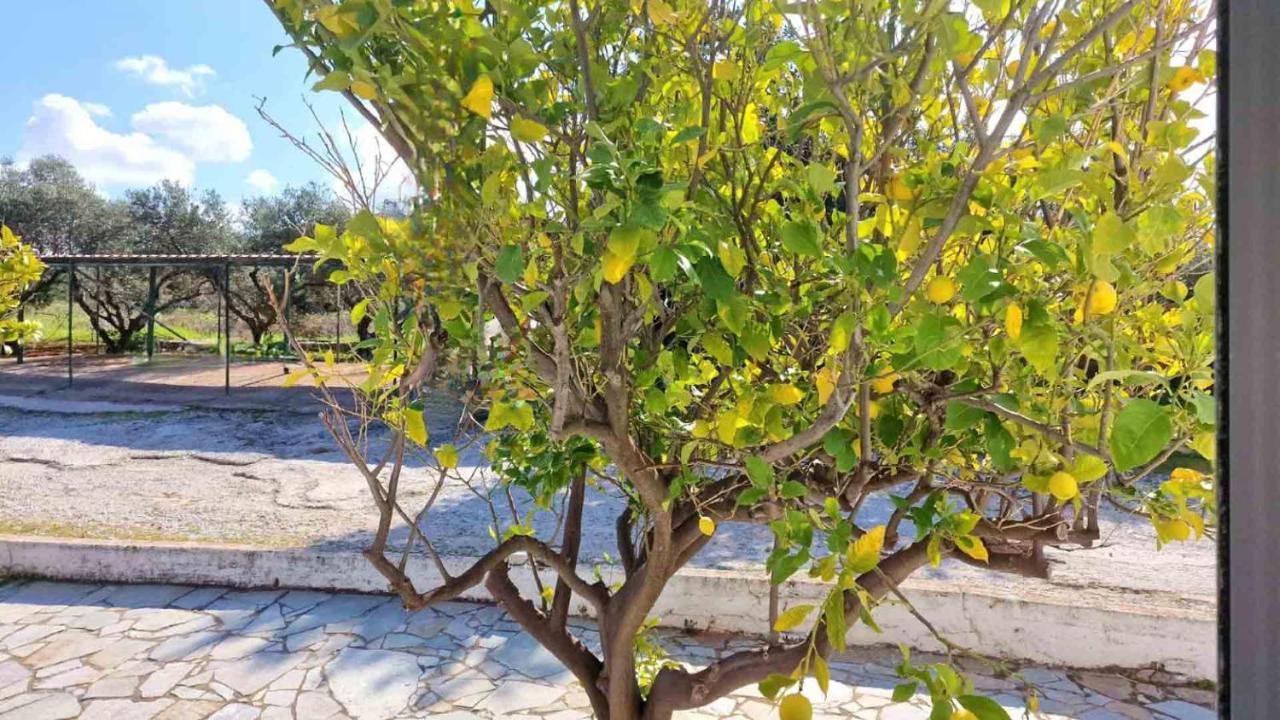 My Cretan Village By Go4Sea Chorafakia ภายนอก รูปภาพ